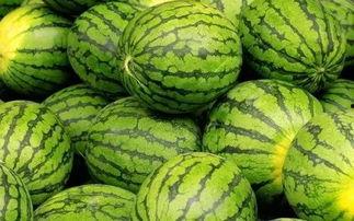 黑吃 今日吃瓜每日大赛,每日大赛精彩回顾